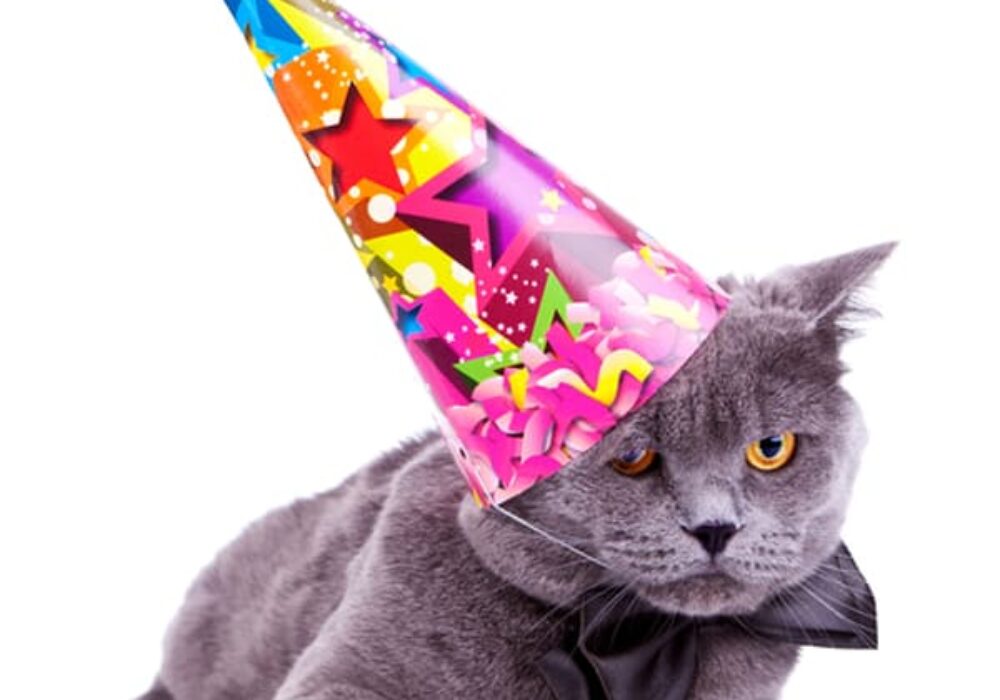 Âge des Chats