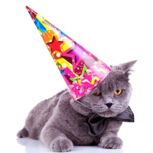Âge des Chats