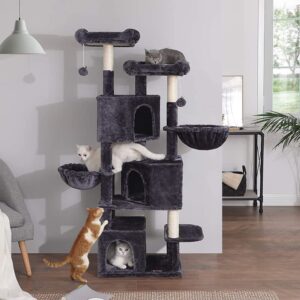 Griffoirs et Arbres à chat