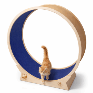 SpeedCat Roue rotative 130cm